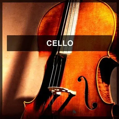 Steinberg Cello VSTSOUND