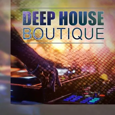 Steinberg Deephouse Boutique 1 VSTSOUND