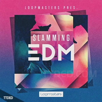 [EDM电子舞曲素材]Loopmasters Slamming EDM [多格式]（792Mb）