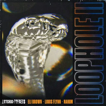 [嘻哈说唱采样AnalogLab4预置]Eli Brown Loophole II for Analog Lab（239Mb）