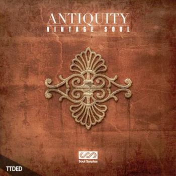 [灵魂RnB采样]Soul Surplus Antiquity [WAV]（312Mb）