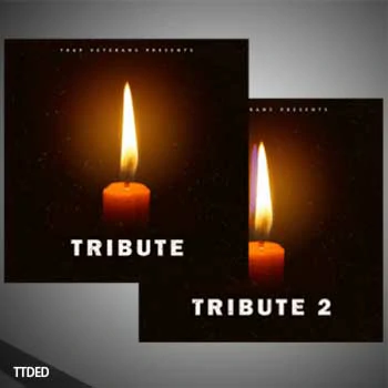 [嘻哈说唱采样]Trap Veterans Tribute 1-2 [WAV]（156Mb）