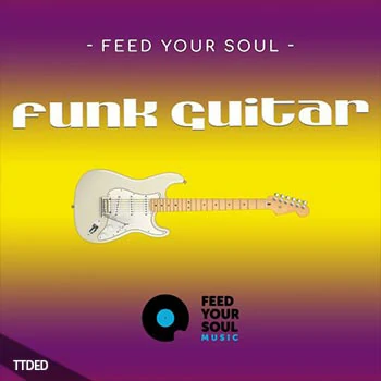 [Funk放克吉他采样]Feed Your Soul Music Feed Your Soul Funk Guitars [WAV]（170Mb）