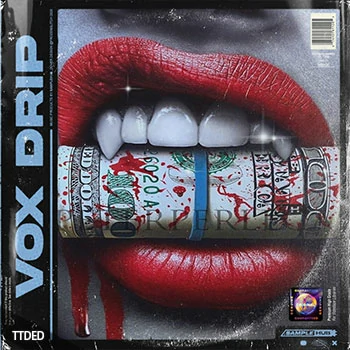 [灵魂RnB陷阱人声采样]Sample Hub Vox Drip [WAV]（19Mb）