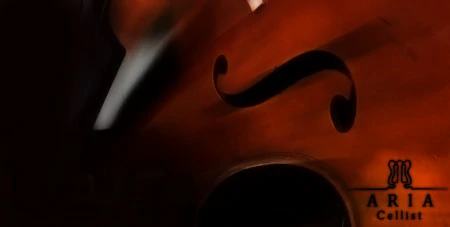 Aria Sounds Cellist Solo Cello KONTAKT