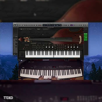 Ample Sound Ample Bass Upright III v3.2.0 [WiN, MacOSX]（3.37Gb）