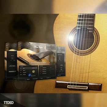[教程]Groove3 Session Guitarist PICKED NYLON Explained（385Mb）