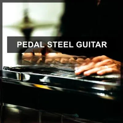 Steinberg Pedal Steel Guitar VSTSOUND