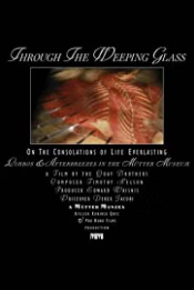 Through the Weeping Glass: On the Consolations of Life Everlasting