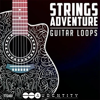 [流行吉他LOOP采样]Audentity Records Strings Adventure [WAV]（126Mb）