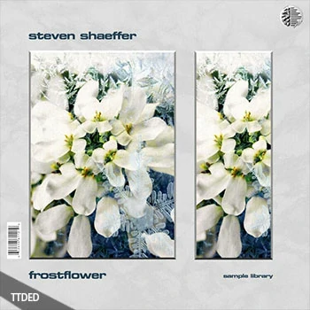 [Trap陷阱采样]Steven Shaeffer Frostflower Sample Library [WAV]（164Mb）
