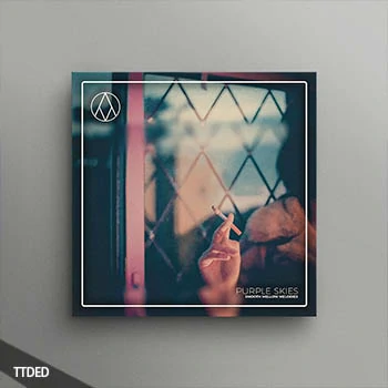 [氛围Trap素材]AngelicVibes Purple Skies [WAV, MiDi]（312Mb）