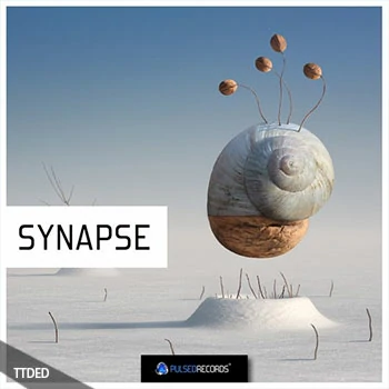 [氛围驰放乐采样]Pulsed Records Synapse [WAV]（533Mb）