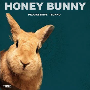 [高科技舞曲采样]Honey Bunny Progressive Techno [WAV]（227Mb）