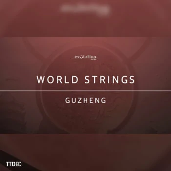 [古筝音源]Evolution Series World Strings Guzheng v2.0 [KONTAKT]（17.93Gb）