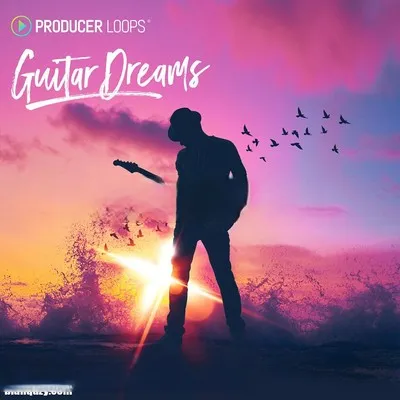 Producer Loops Guitar Dreams MULTiFORMAT-DECiBEL