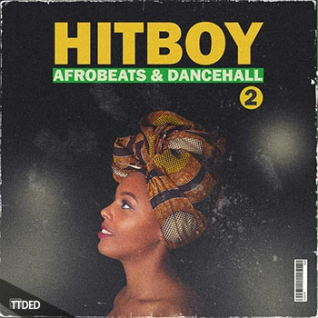 [非洲打击乐雷鬼Dancehall舞曲素材]VBGotHeat HitBoy 2 Afrobeats and Dancehall [WAV, MiDi]（252Mb）