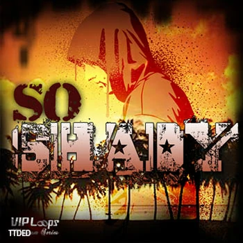 [RnB-Trap-HipHop采样]VIP Loops So Shady [ACiD, WAV, AiFF]（1.06Gb）