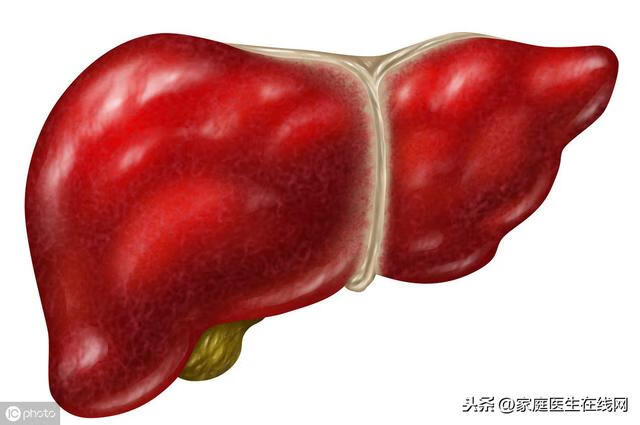 脂肪肝症状一般表现在哪些方面(脂肪肝的症状及治疗)