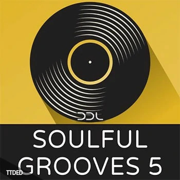 [灵魂RnB素材]Deep Data Loops Soulful Grooves 5 [WAV, MiDi]（236Mb）