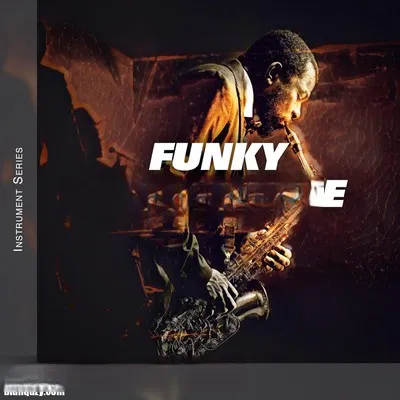 萨克斯采样包 – Image Sounds Funky Saxophone WAV