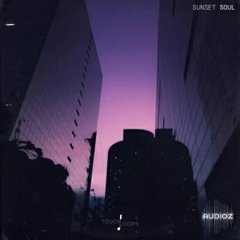 Touch Loops Sunset Soul WAV-DECiBEL