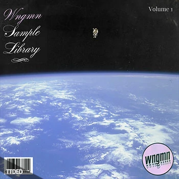 [Retro怀旧乐采样]Wngmn Sample Library Vol.1 [WAV]（143Mb）