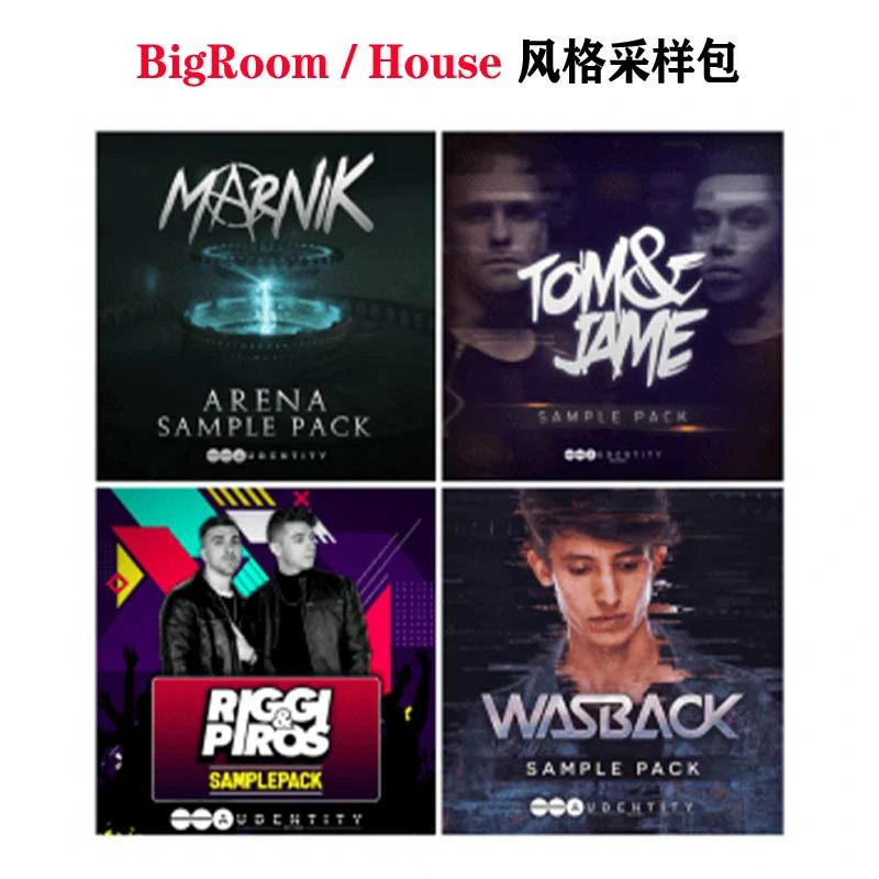 [BigRoom/House多风格采样包套装合集2021]Audentity Artists–Bundle Sample Packs 20211 [WAV, MiDi]（1.26GB）