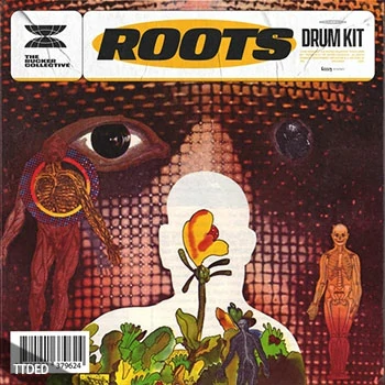 [灵魂RnB鼓组采样]The Rucker Collective Roots Drum Kit [WAV]（16Mb）