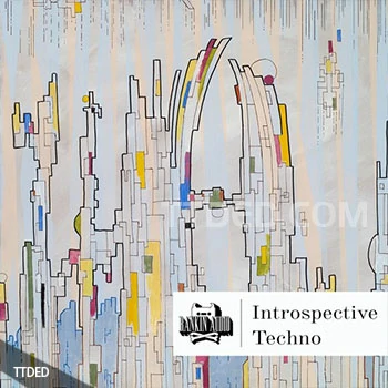[科技浩室采样]Rankin Audio Introspective Techno [WAV]（258Mb）