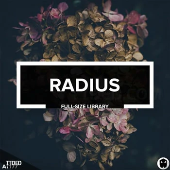 [科技浩室采样]Audiotent Radius [WAV]（1.21Gb）