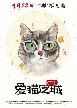 爱猫之城 Kedi的海报