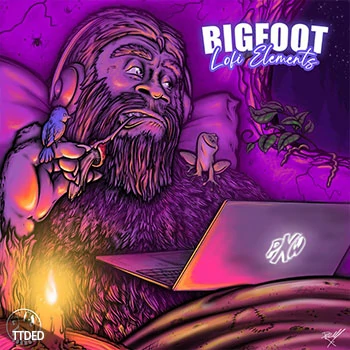[低保真嘻哈说唱采样]PNW Sounds Bigfoot LoFi Elements [WAV]（1.15Gb）