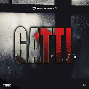 [Trap嘻哈说唱陷阱采样]Trap Veterans Gatti [WAV]（149Mb）