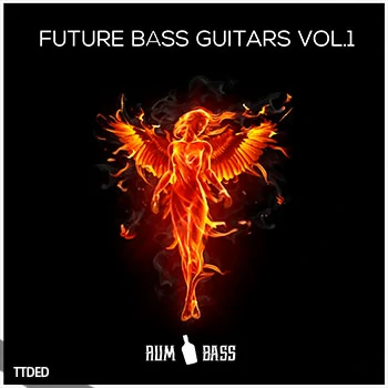 [氛围奇幻贝斯吉他采样]Rum n Bass Records Future Bass Guitars Vol.1 [WAV]（22Mb）