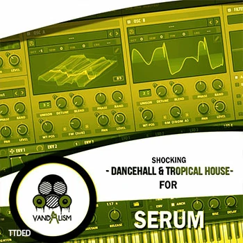 [Dancehall热带舞曲MiDi素材Serum预置]Vandalism Shocking Dancehall and Tropical House For Serum（119Mb）