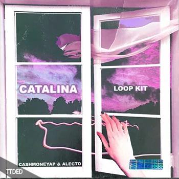 [灵魂氛围采样]CashMoneyAp and ALECTO Catalina [WAV]（212Mb）