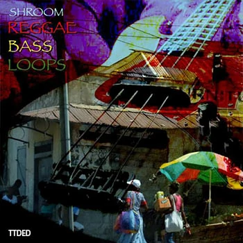 [Dub雷鬼怀旧Bass采样]Shroom Reggae Bass Loops [WAV]（30Mb）