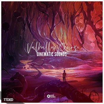 [影视合唱音色采样]Black Octopus Sound Cinematic Sounds Valhalla Choirs [WAV]（999Mb）