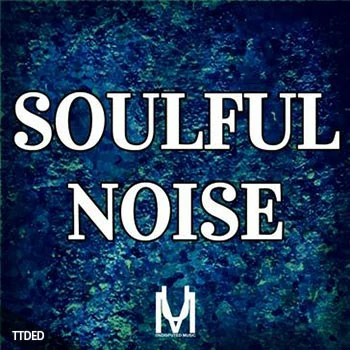 [流行灵魂RnB采样]Undisputed Music Soulful Noise [WAV]（180Mb）