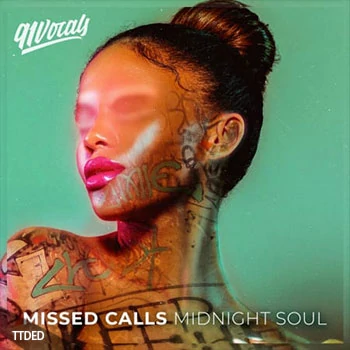 [灵魂RnB人声采样]91Vocals Missed Calls Midnight Soul [WAV]（460Mb）