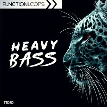 [Dubstep素材+Serum预置]Function Loops Heavy Bass Dubstep and Riddim [WAV, MiDi]（436Mb）