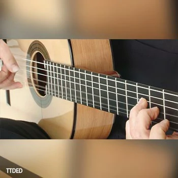 [教程]Udemy Flamenco Guitar（5.66Gb）