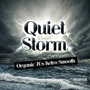 Track Star Quiet Storm KONTAKT MULTiFORMAT-MAGNETRiXX