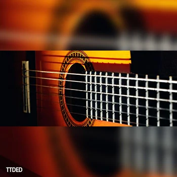 [古典吉他音源]ARIA Sounds Classical Guitarist [KONTAKT]（457Mb）