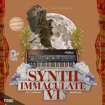 [嘻哈说唱采样]MSXII Sound Synth Immaculate 6 [WAV]（253Mb）