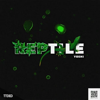 [民族嘻哈陷阱采样]Yoshi Reptile Sample Library [WAV]（104Mb）