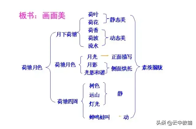 荷花淀课件APP(荷花淀课件获奖)