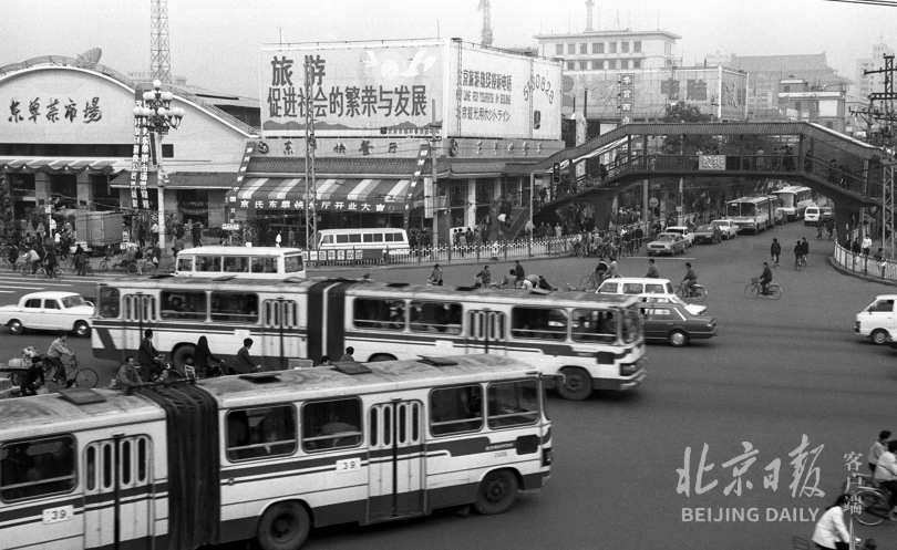 北京网上菜市场在哪里(北京哪个买菜网便宜)