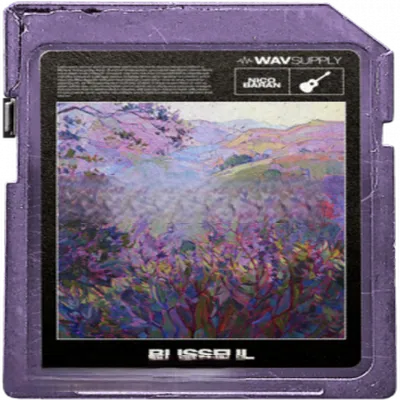 WavSupply Nico Baran Blissful (Guitar Loop Kit) WAV-FANTASTiC